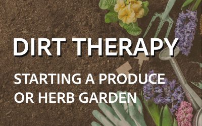 Dirt Therapy: Starting a Produce or Herb Garden