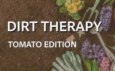 Dirt Therapy: Tomato Edition