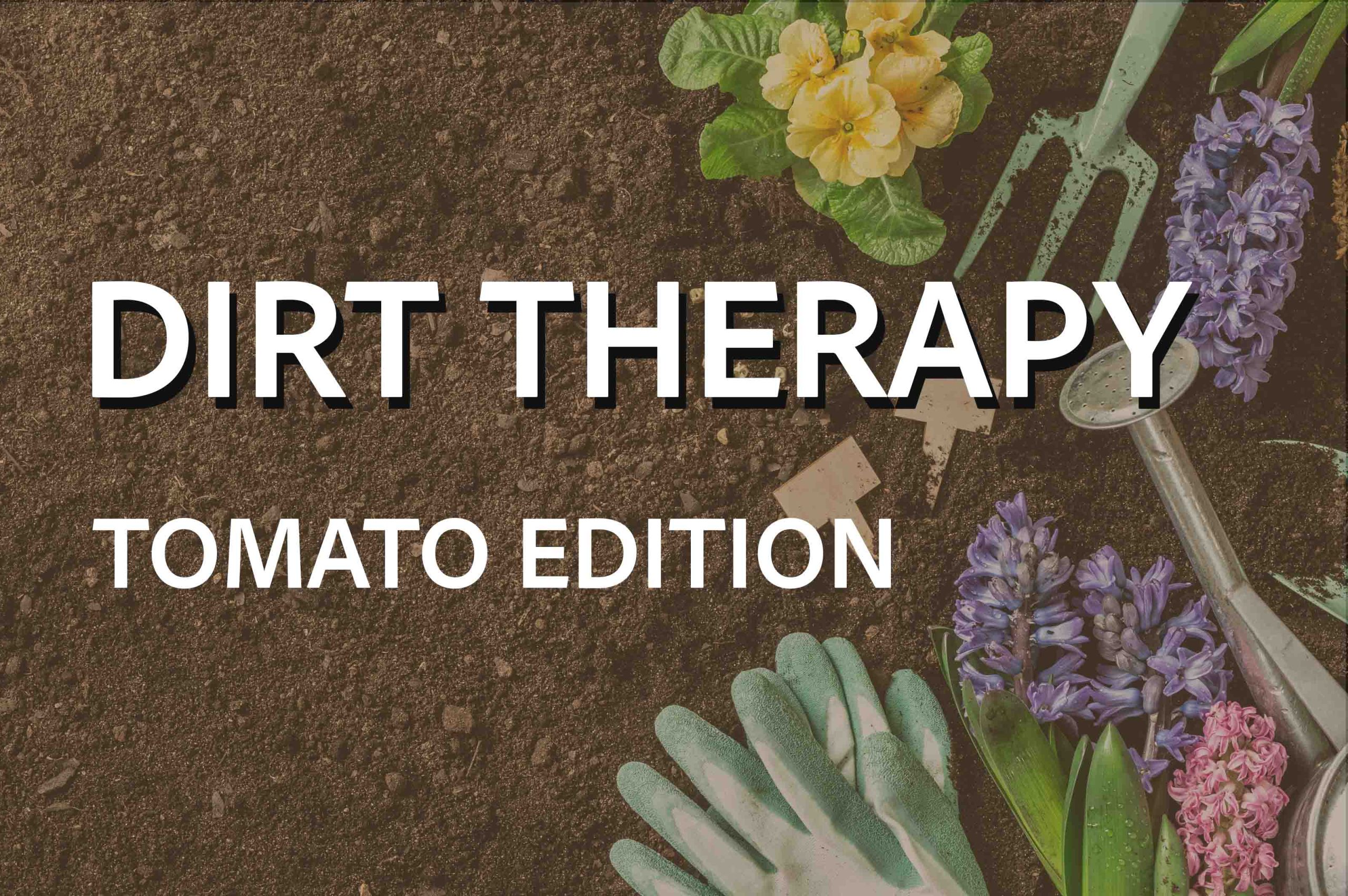 Dirt Therapy: Tomato Edition - Sunshine Grow Shop