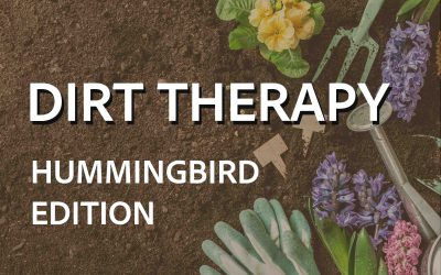 Dirt Therapy: Hummingbird Edition