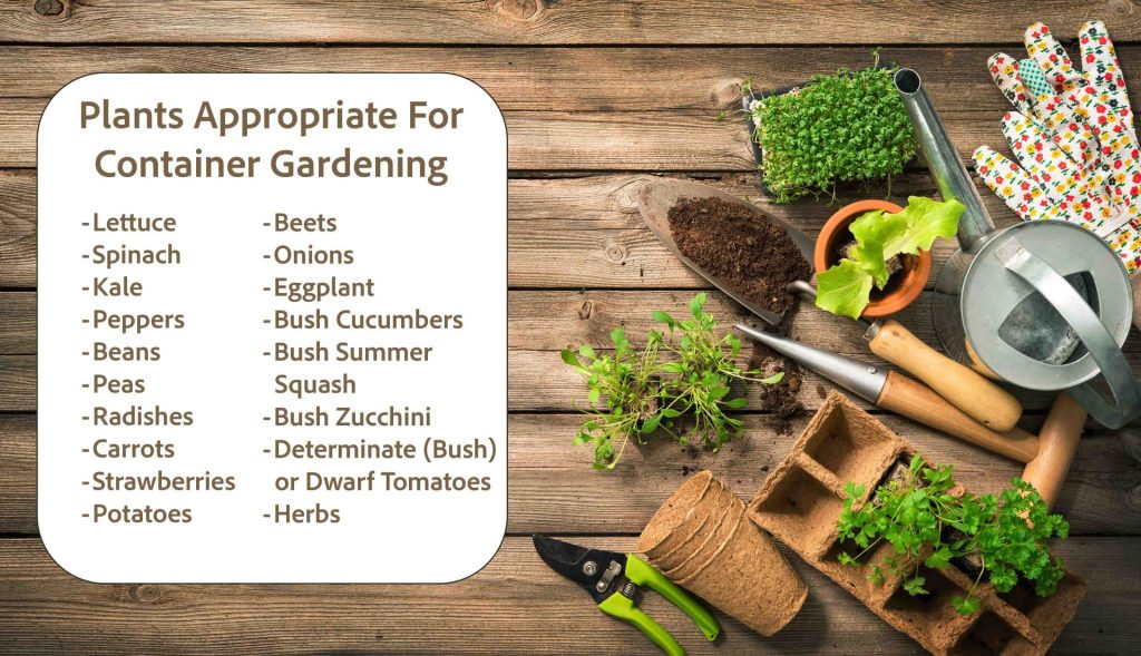 A list of plants that are appropriate for container gardening. The list includes the following plants: Lettuce, Spinach, Kale, Peppers, Beans, Peas, Radishes, Carrots, Strawberries, Potatoes, Beets, Onions, Eggplant, Bush Cucumbers, Bush Summer Squash, Bush Zucchini, Determinate (Bush)or Dwarf Tomatoes, and Herbs. 