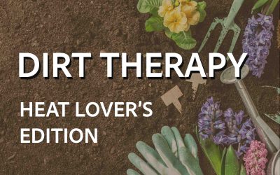 Dirt Therapy – Heat Lover’s Edition