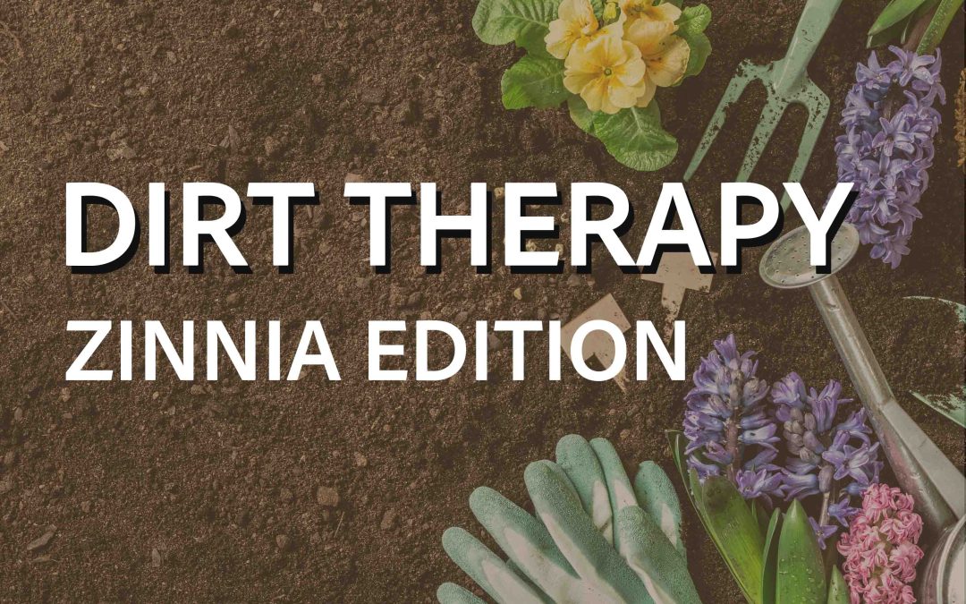 Dirt Therapy: Zinnia Edition