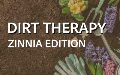Dirt Therapy: Zinnia Edition