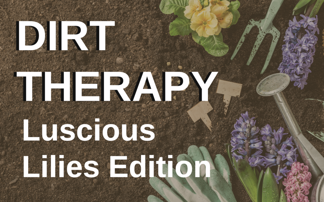 Dirt Therapy: Luscious Lilies Edition